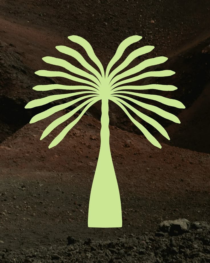 Visual Inspiration 48