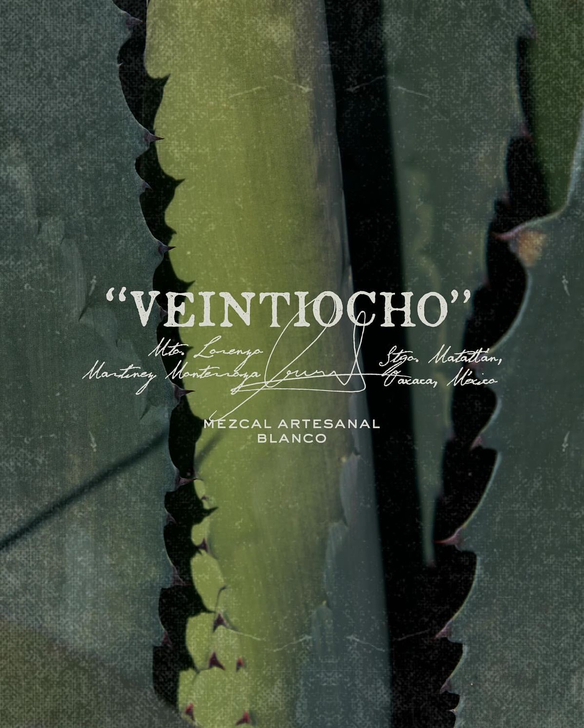 Visual Inspiration 7